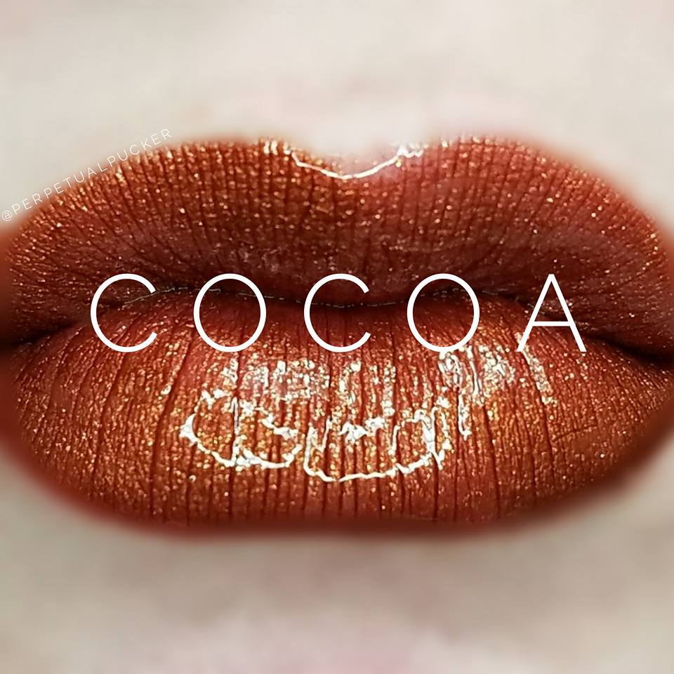Cocoa Starter Collection (color, glossy gloss and oops remover) - HoneyLoveBoutique