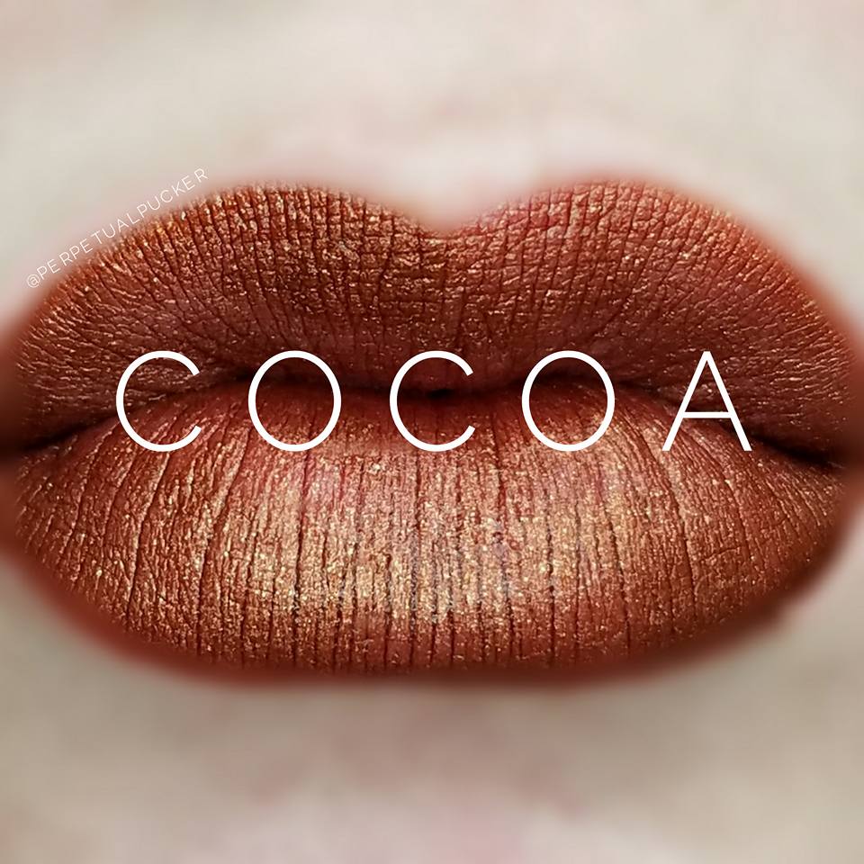 Cocoa Starter Collection (color, glossy gloss and oops remover) - HoneyLoveBoutique