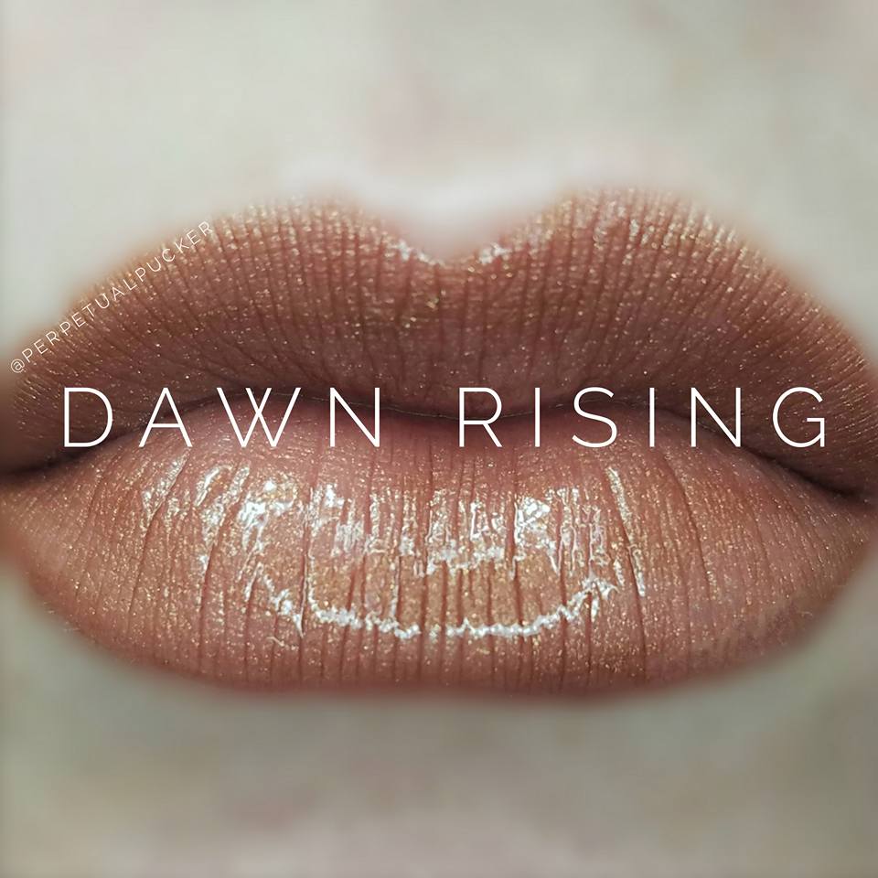 Dawn Rising Starter Collection (color, glossy gloss and oops remover) - HoneyLoveBoutique