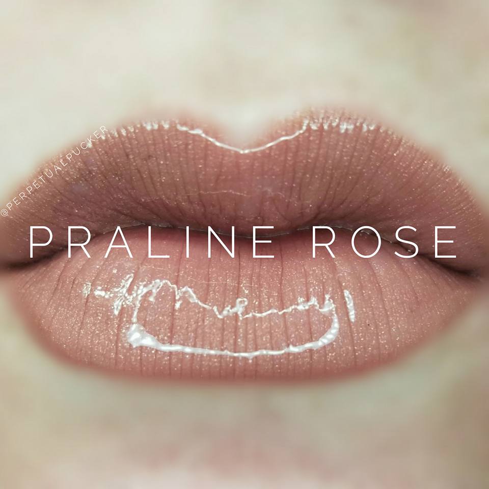Praline Rose Starter Collection (color, glossy gloss and oops remover) - HoneyLoveBoutique