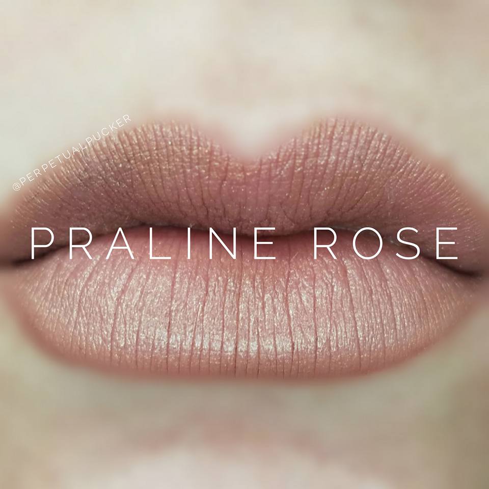 Praline Rose Starter Collection (color, glossy gloss and oops remover) - HoneyLoveBoutique