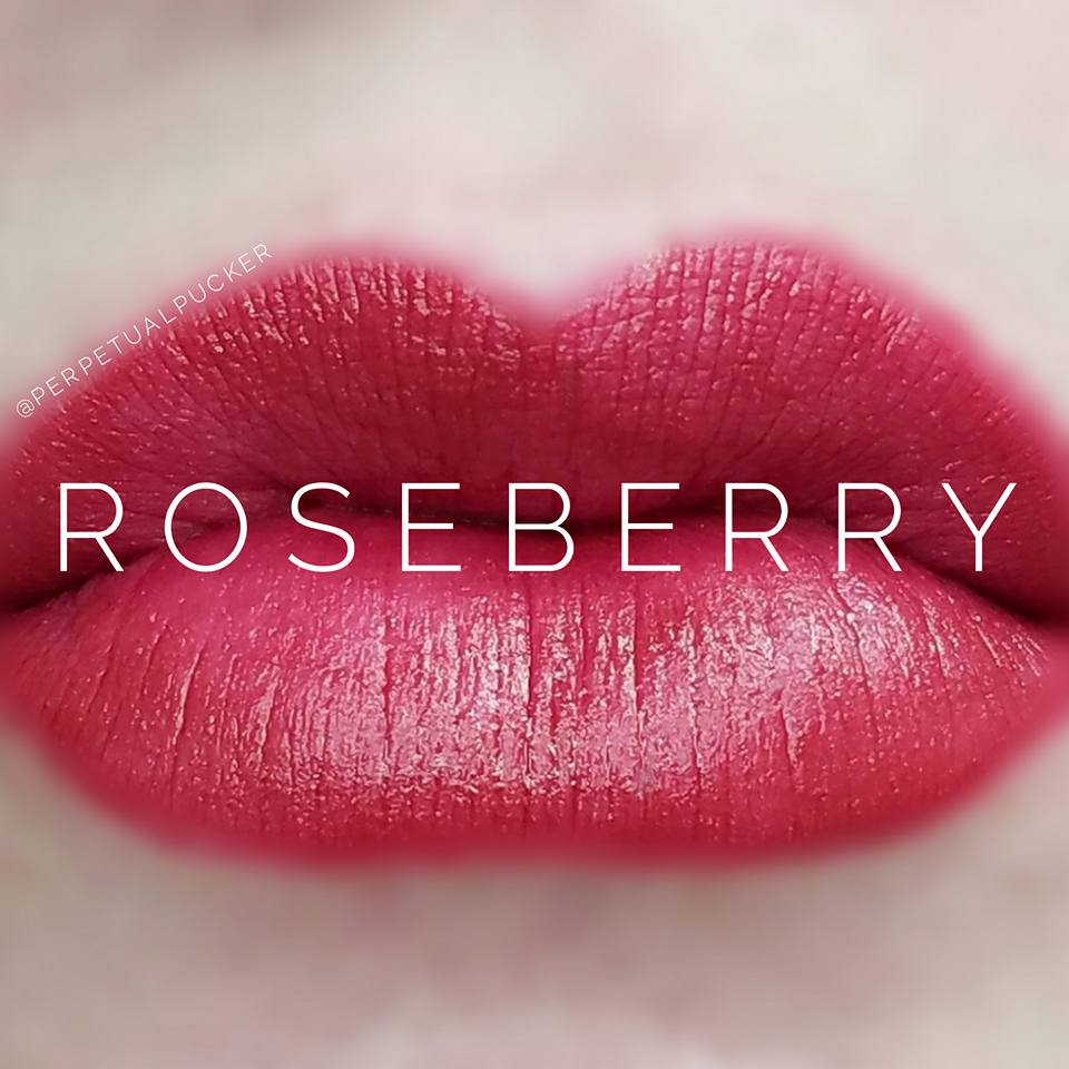 Roseberry Starter Collection (color, glossy gloss and oops remover) - HoneyLoveBoutique