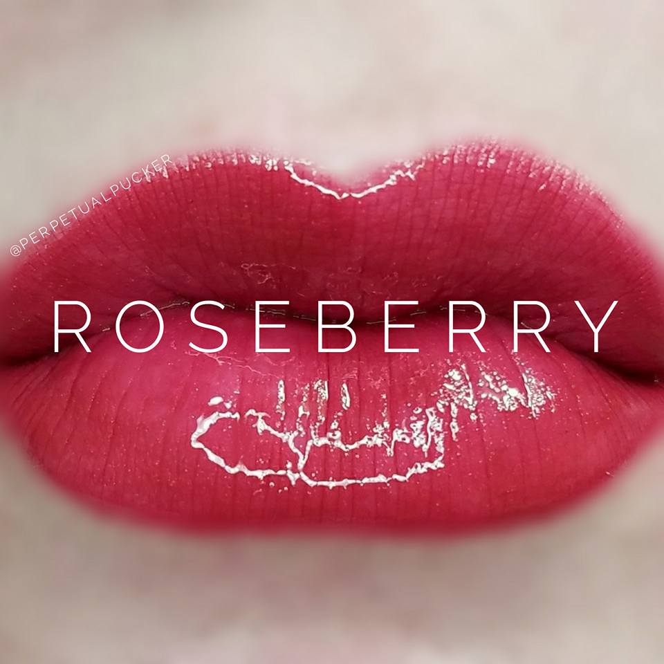 Roseberry Starter Collection (color, glossy gloss and oops remover) - HoneyLoveBoutique