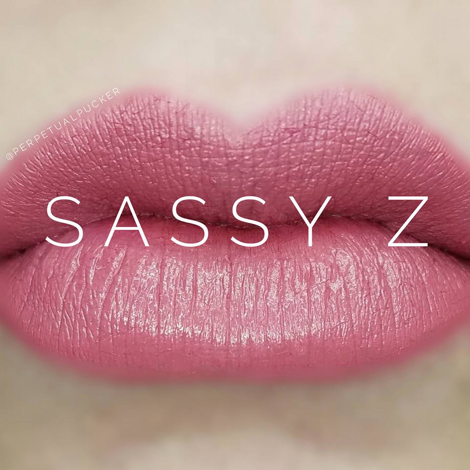 Sassy Z Starter Collection (color, glossy gloss and oops remover) - HoneyLoveBoutique